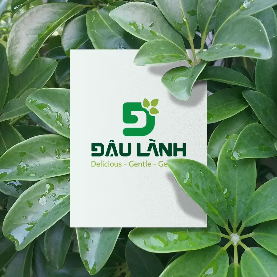 The Đậu Lành logo displayed on a clean card surrounded by natural green leaves creating a fresh and organic impression